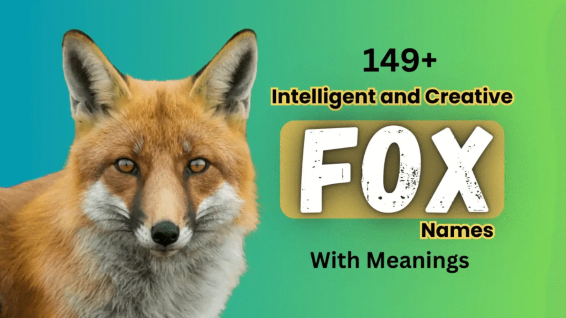 149+ Intelligent And Creative Fox Names With Meanings