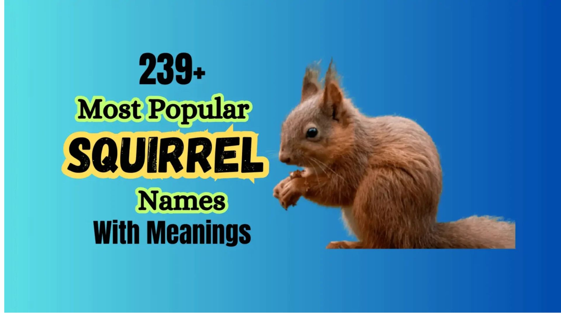 230+ Most Popular Squirrel Names with Meanings
