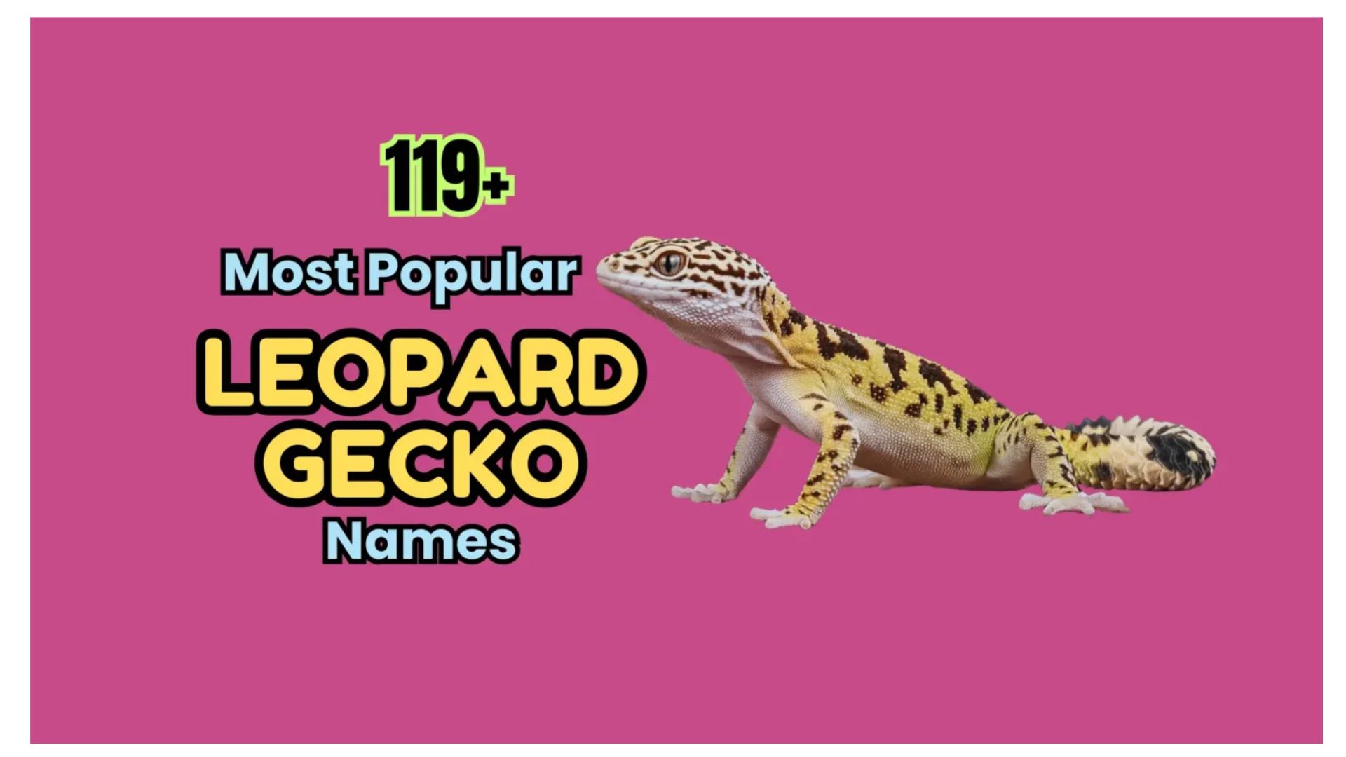 119+ Most Popular Leopard Gecko Names