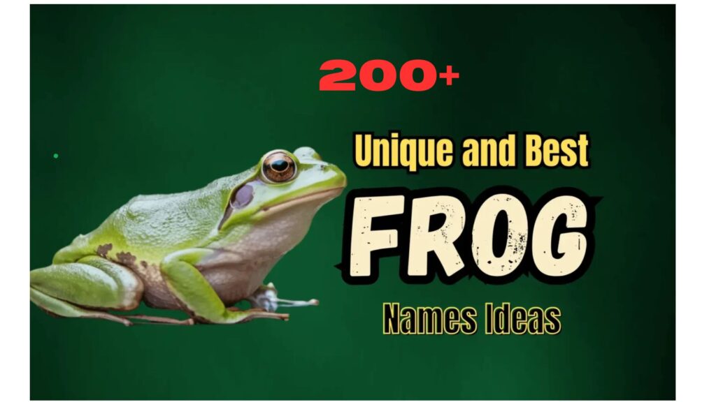 200+ Unique and Best Frog Names Ideas