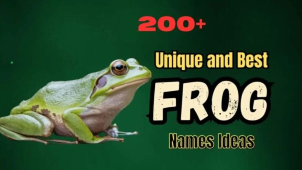 200+ Unique and Best Frog Names Ideas