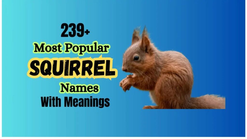 230+ Most Popular Squirrel Names with Meanings