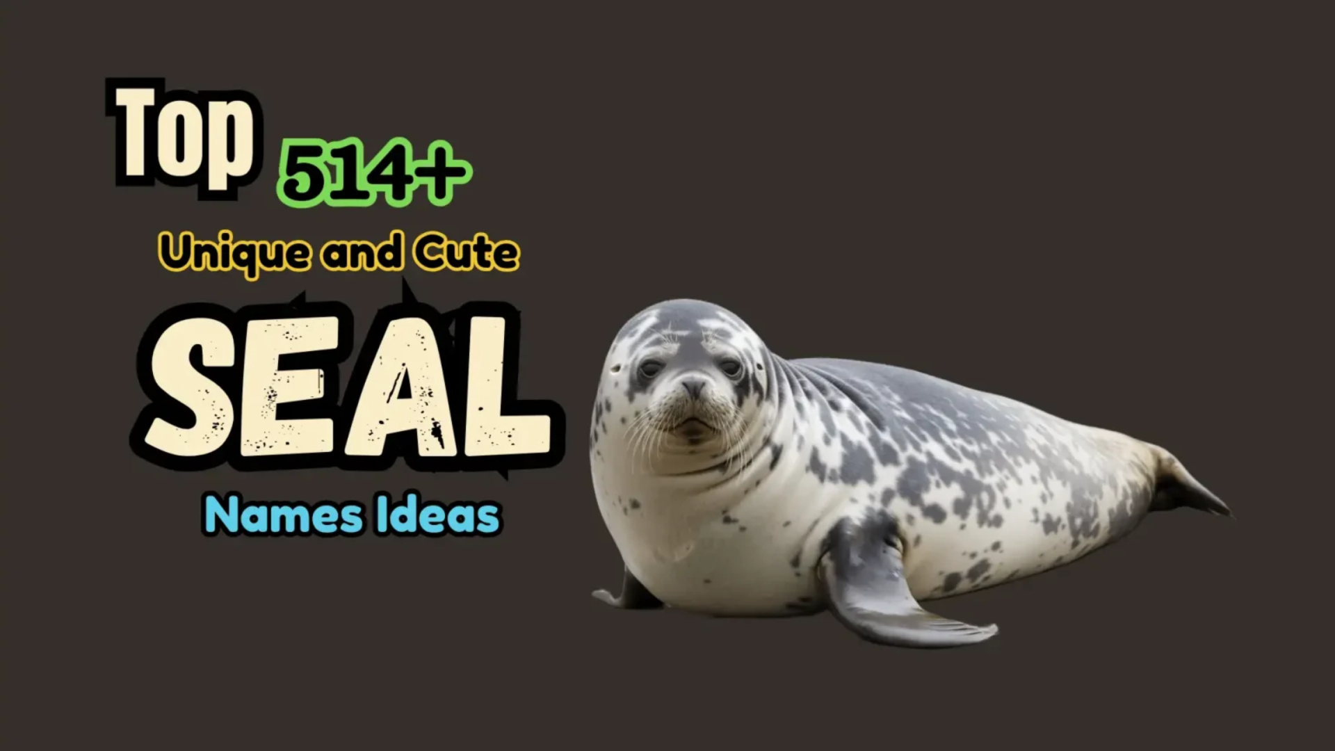 Top 514+ Unique and Cute Seal Names Ideas