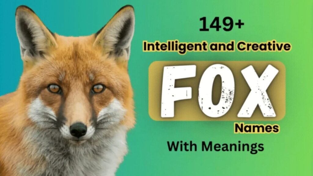 149+ Intelligent And Creative Fox Names With Meanings