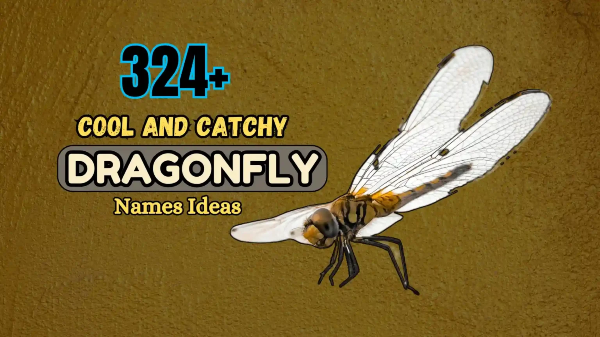 324+ Cool and Catchy Dragonfly Names Ideas