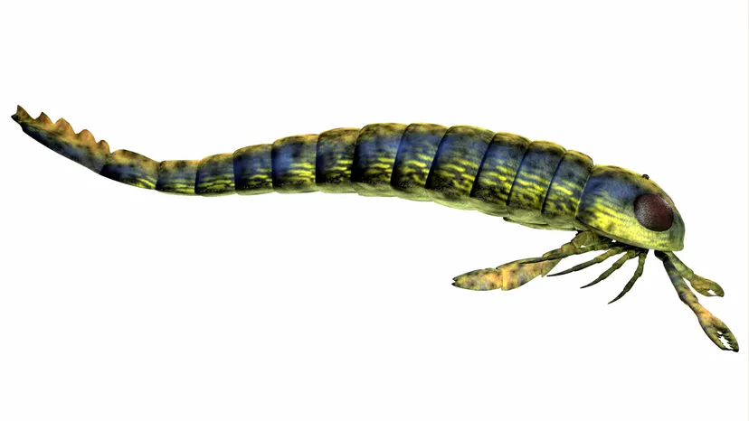 Ancient Scorpion Names