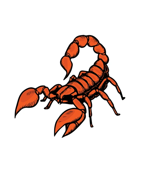 Cartoon Scorpion Names