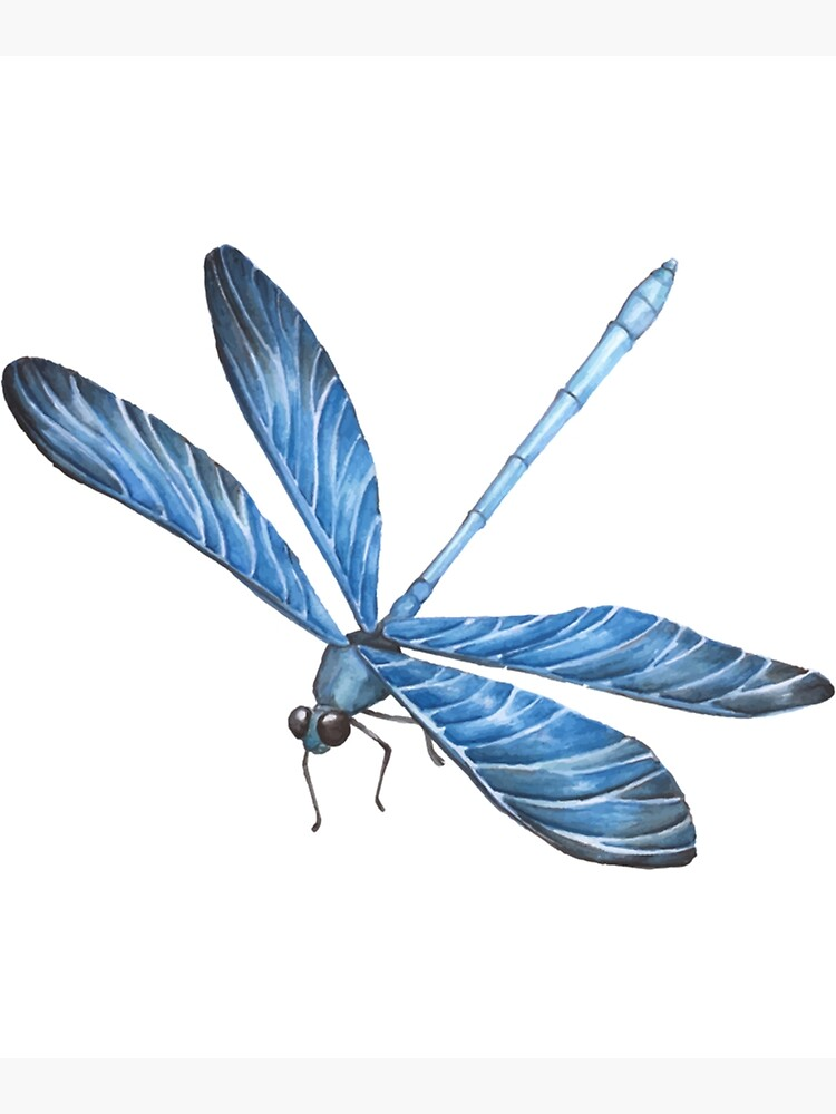 Blue Dragonfly Names