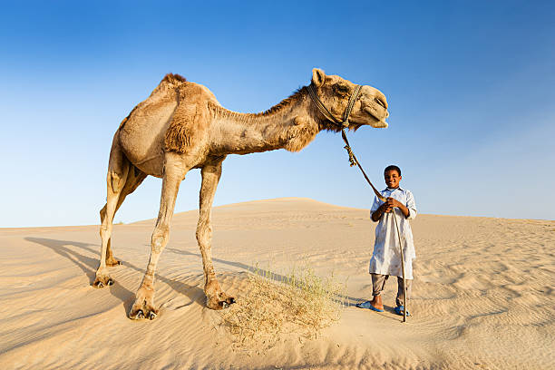 Boy Camel Names