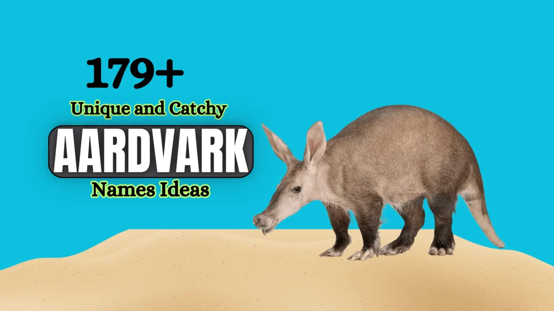 179+ Unique and Catchy Aardvark Names Ideas