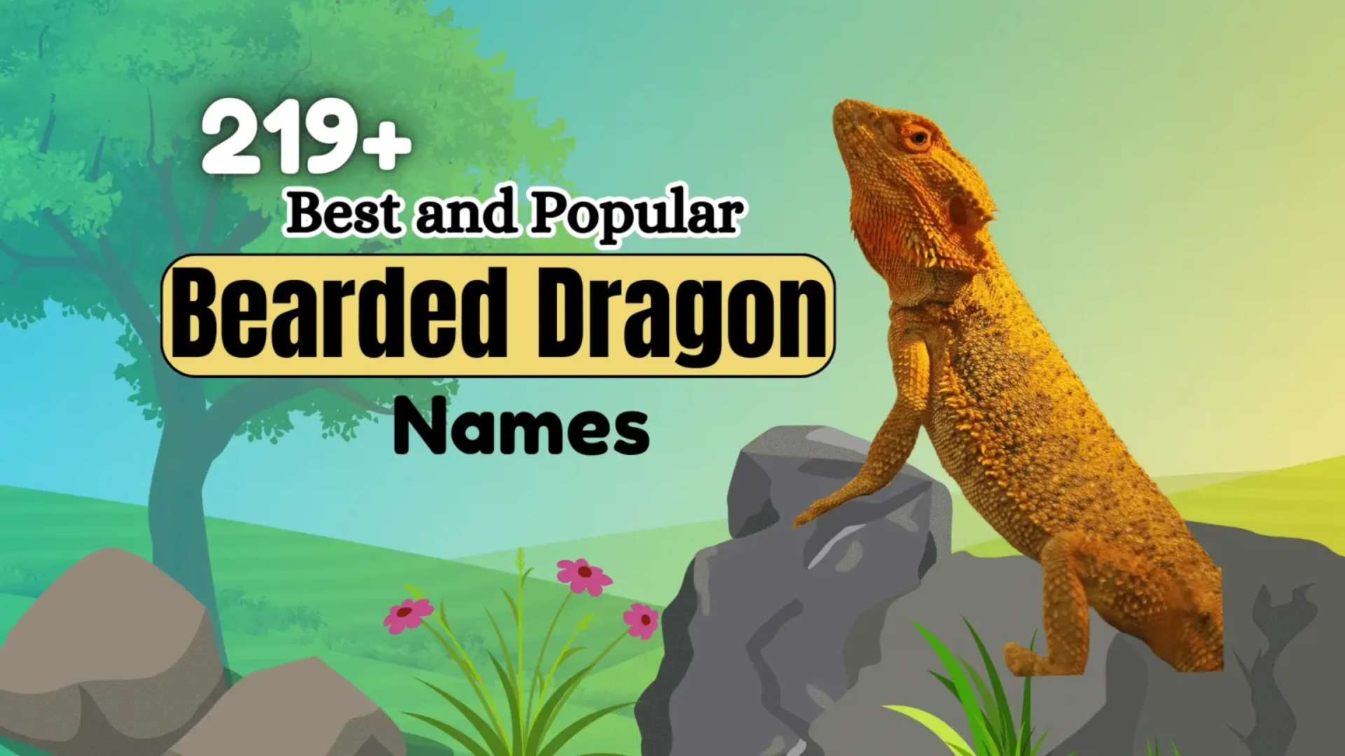 219+ Best and Popular Bearded Dragon Names