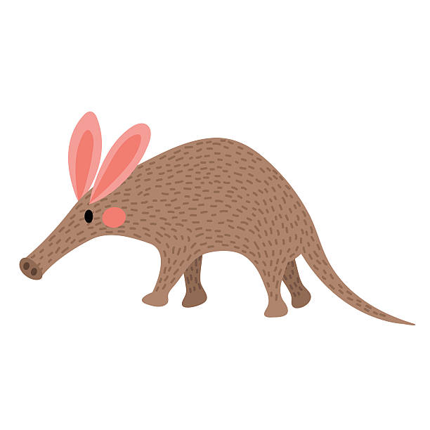 Cartoon Aardvark Names