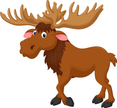 Cartoon Moose Names