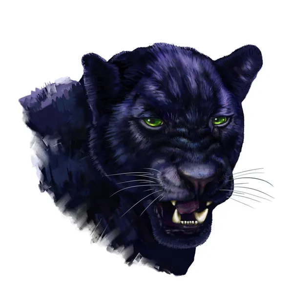 Nicknames for Black Panther