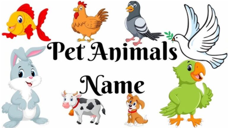 Pet Names