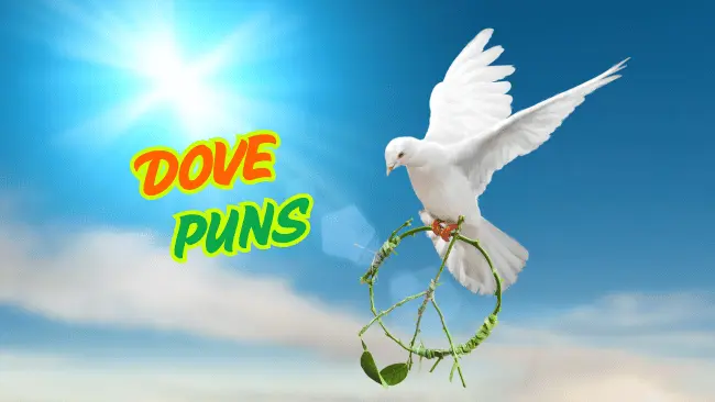 Dove Pun Names