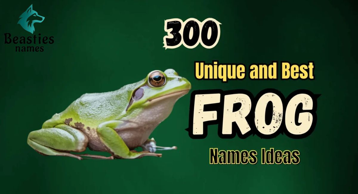 300 Unique and Best Frog Names Ideas
