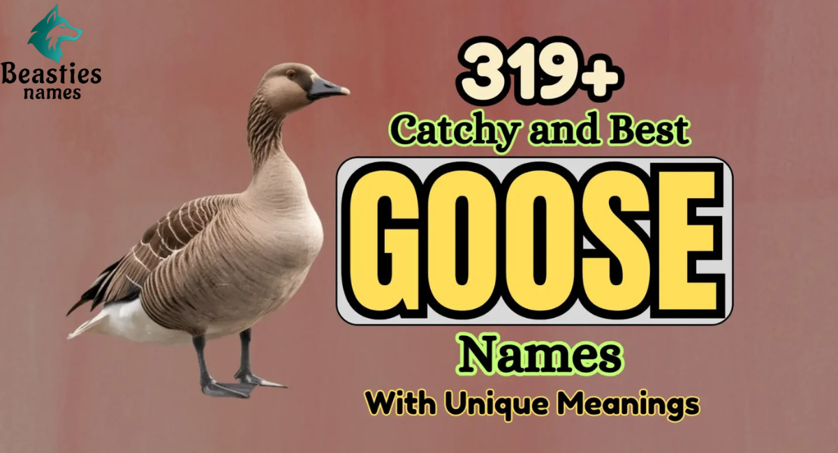 319+ Catchy and Best Goose Names with Unique Meanings