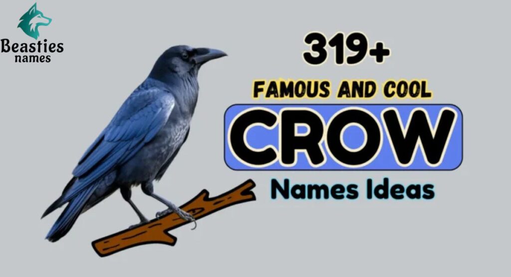 300 Best Crow Names with Meanings, Myths, and Creative Ideas