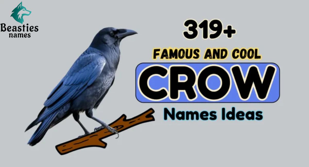 300 Best Crow Names with Meanings, Myths, and Creative Ideas