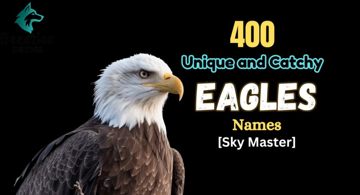 400 Unique and Catchy Eagle Names [Sky Master]