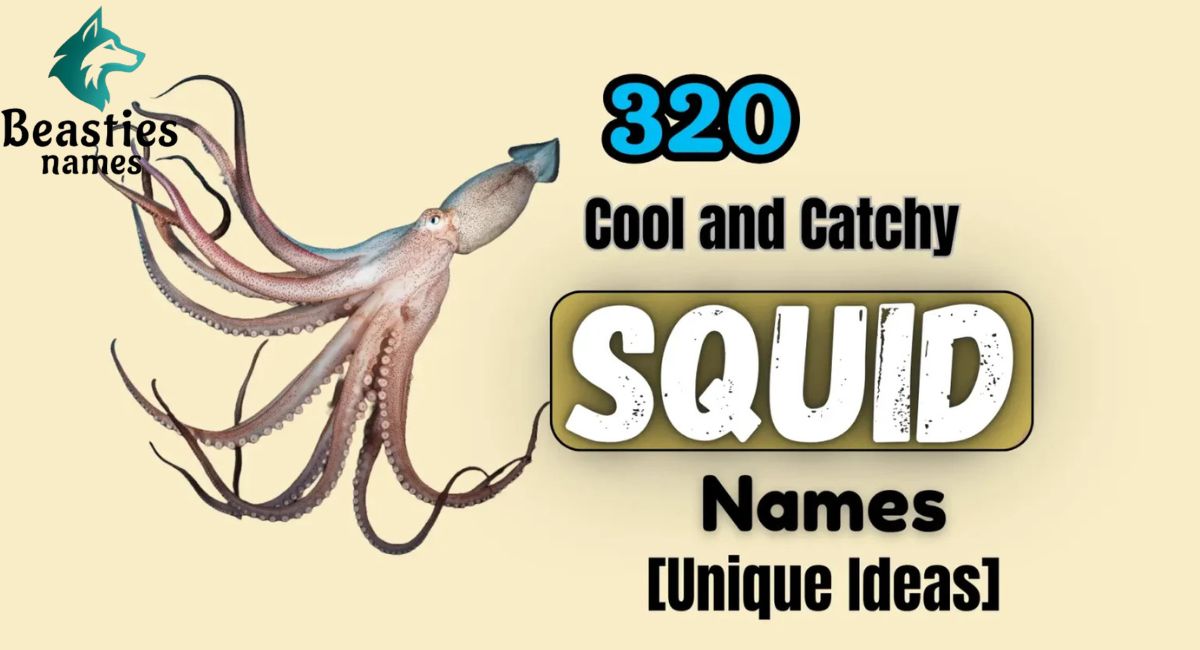 350 Cool and Catchy Squid Names [Unique Ideas]