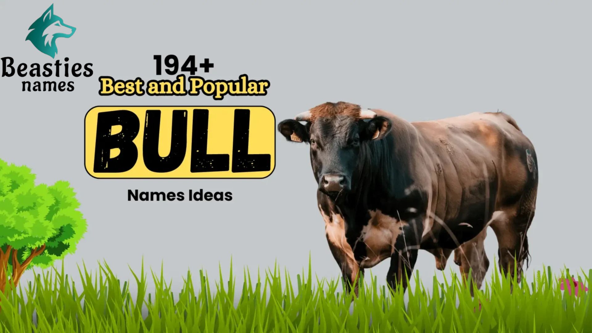 194+ Best and Popular Bull Names Ideas (Bull Names)