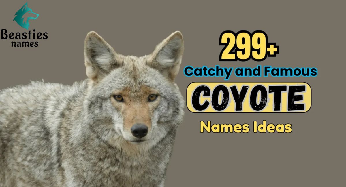 360+ Catchy and Famous Coyote Names Ideas for Every Wild Personality
