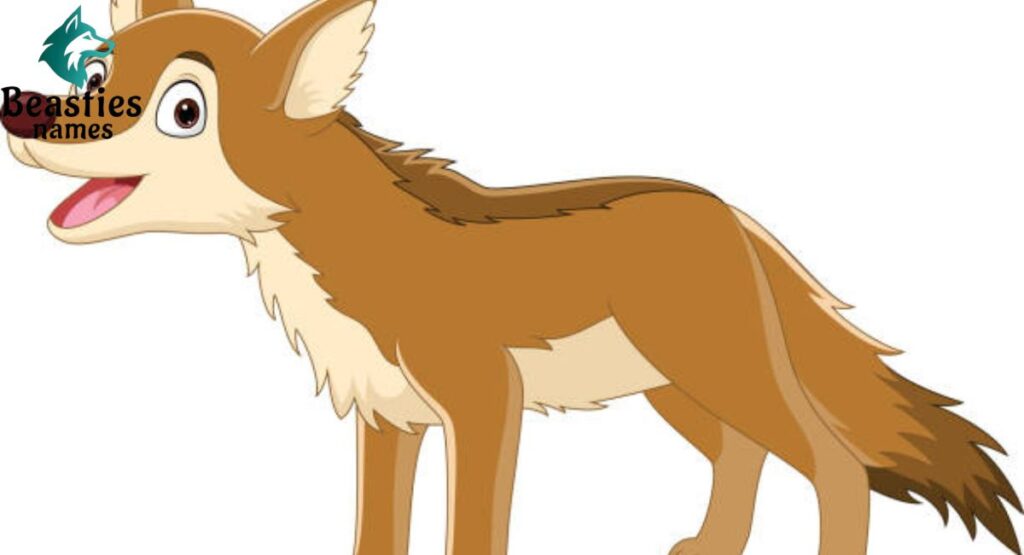 Cartoon Coyote Names