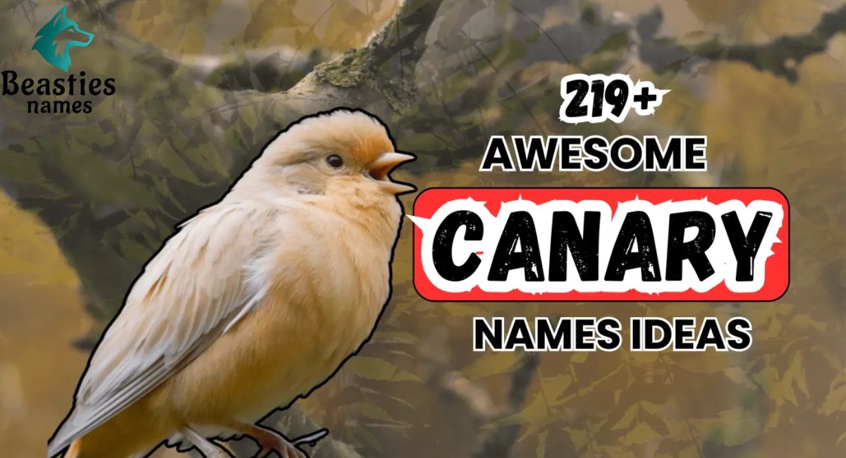 250+ Awesome Canary Names Ideas for Singing, Colorful, and Charming Pet Canaries