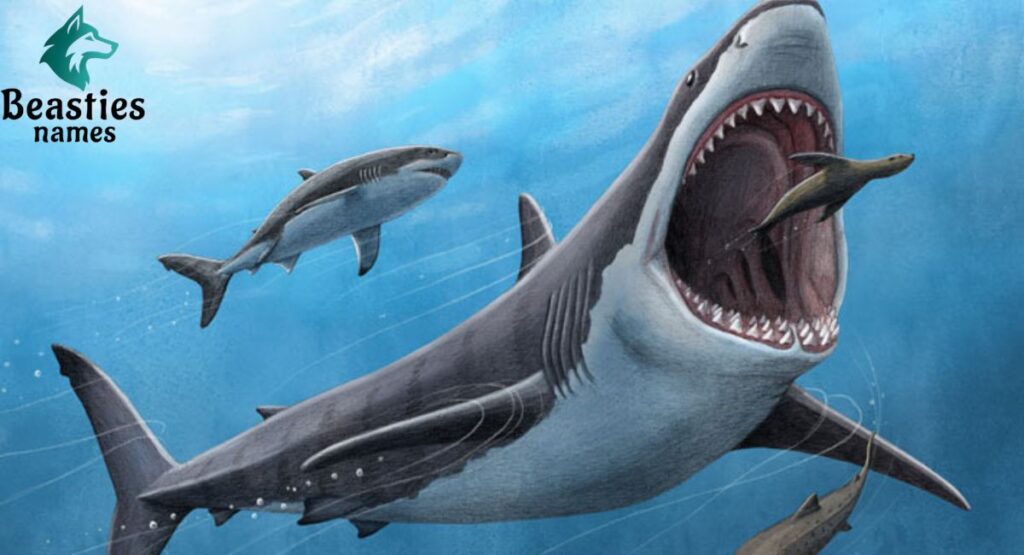 Mythical and Legendary Shark Names