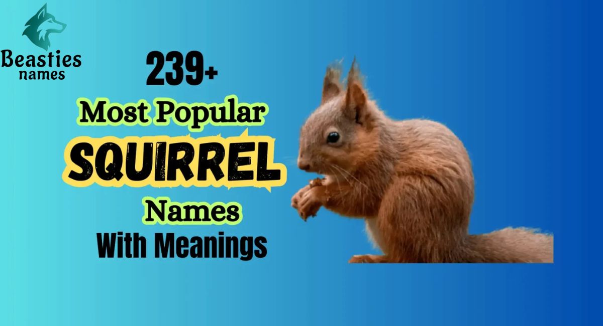 Squirrel Names: 239+ Unique and Fun Ideas for Your Furry Friend