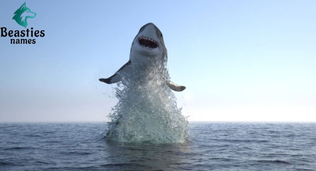 Strong and Powerful Shark Names Inspired by Dominance