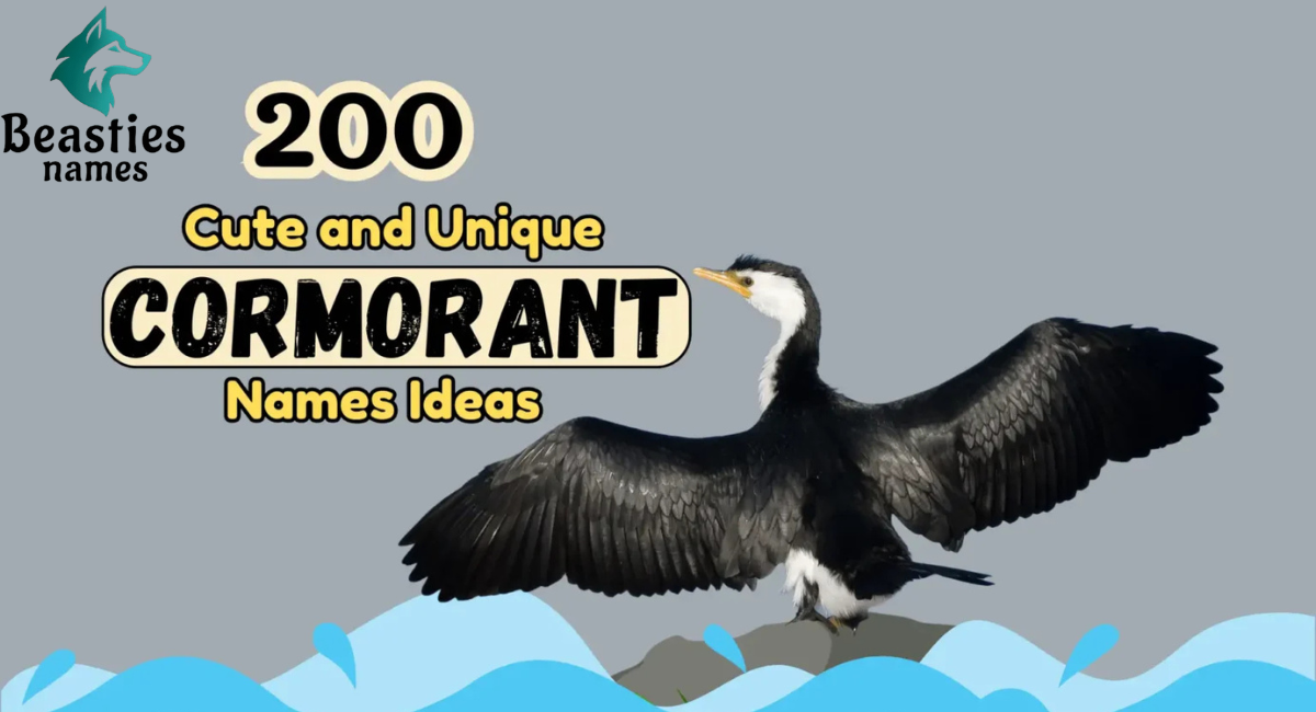 200+ Cute and Unique Cormorant Names Ideas